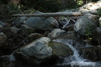 a stream in the woods with rocks and logs
