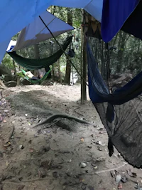 a tent in the woods with a mosquito netting
