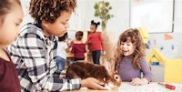 children playing with a rabbit in a classroom