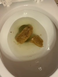 a toilet bowl with a piece of bread in it