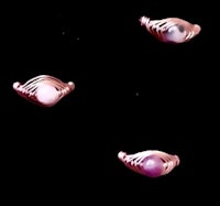 a set of four pink and purple rings on a black background