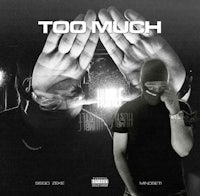 the cover of the album too much