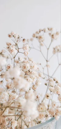 white flowers in a vase on a white table