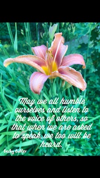 a pink lily with a quote on it