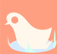 a white bird in the water