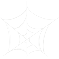 a white spider web on a black background