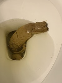 a toilet with a fecal matter sticking out of it