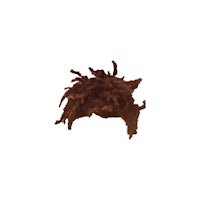 an image of a dreadlocks on a white background