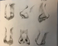a drawing of different types of noses
