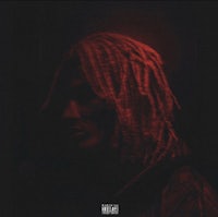 an image of a man with dreadlocks in the dark