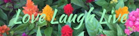 love laugh live in front of colorful flowers