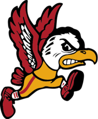 a bald eagle running on a black background