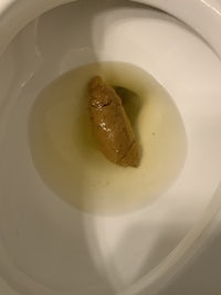a toilet bowl with a brown object in it