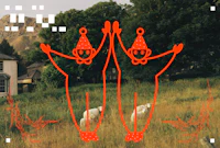 two sheep in a field