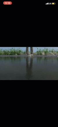 a picture of a tree in the water