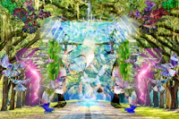 an image of a path with trees and butterflies