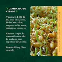 germinado de célula - germinado de célula