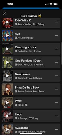 a screenshot of the music player on an iphone