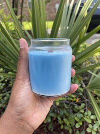 a hand holding a blue candle in front of a palm tree