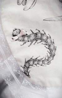 a close up of a drawing of a caterpillar