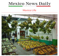 mexico news daily - screenshot