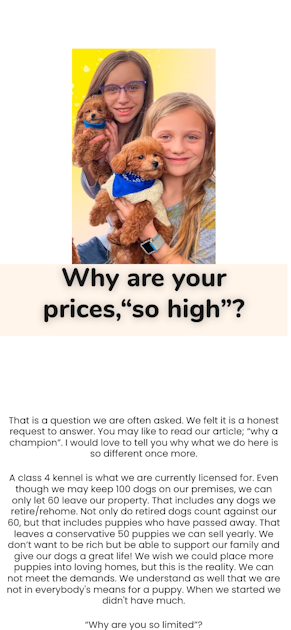 why-are-your-prices-so-high-kc-poodles-of-pa