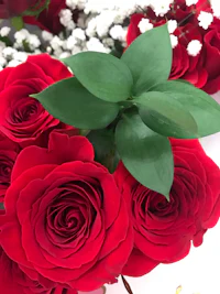 a bouquet of red roses with green leaves and baby's breath