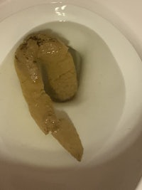 a toilet with a brown poop in it