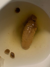 a toilet with a brown object in it