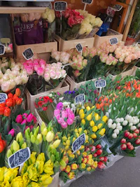 flowers for sale at a market in paris
