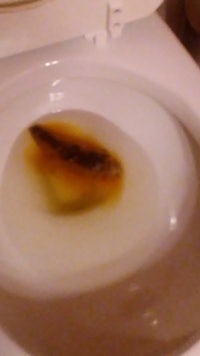 a toilet with a fish in it