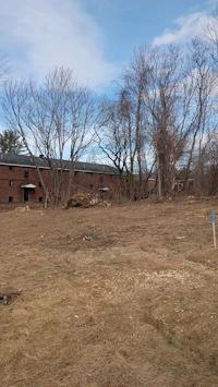 a field with trees and a building in the background