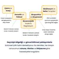 a diagram showing the different stages of a business