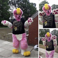 two pictures of a pink teddy bear wearing a t - shirt