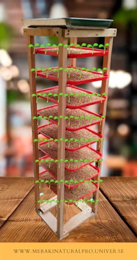 a wooden tower with green and red seeds on it