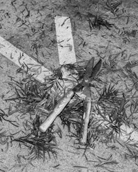 a black and white photo of a pair of scissors on the ground