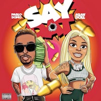 the cover art for say dot