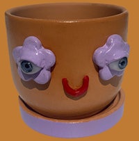 a flower pot with a face on it