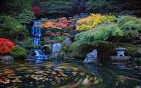 a japanese garden with a waterfall and colorful leaves
