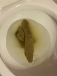 a toilet with a piece of weed in it