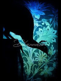 a silhouette of a peacock on a blue background