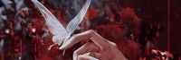 a hand holding a butterfly with a red background