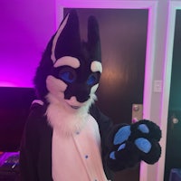 a wolf mascot in a blue and black outfit