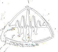 a drawing of a shark with a triangle in the middle