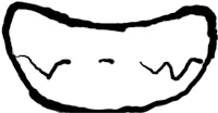 a black and white drawing of a cat's mouth