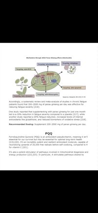 a diagram showing the structure of a plant