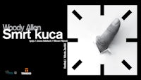 woody allen - smt kuca