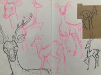a sketch of a deer with pink lines on it
