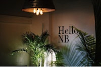 hello nb sign in front of a potted plant