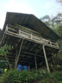 a wooden shack with a ladder on top of it